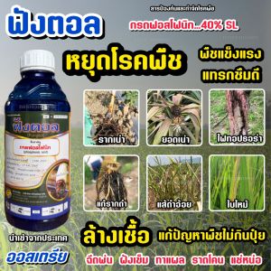 ฟังตอล กรดฟอสโฟนิก 40% SL (เนื้อดีจาก ออสเตรีย) ป้องกันและรักษา โรคพืช เชื้อรา แบคทีเรีย พืชไม่กินปุ๋ย ใช้ได้ทุกพืช 1L