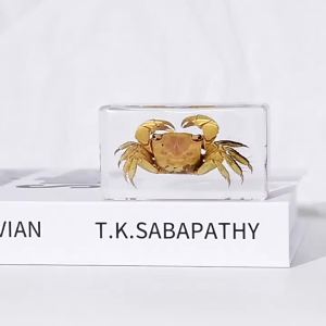 Decorative Table Figurine child-oriented design stated in source adds a freestanding decorative accent to the selected space for living room entryway office or display shelf household setup