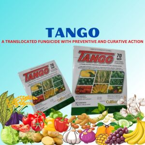 TANGO 70WP SYSTEMIC FUNGICIDE