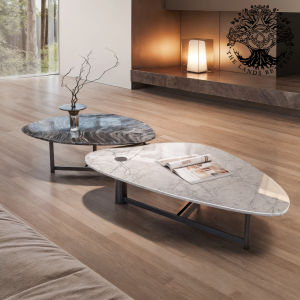 Bàn trà sofa bàn phòng khách bàn đôi cafe nhập khẩu NEBULA LENZI đám mây Asian Zen đá cẩm thạch