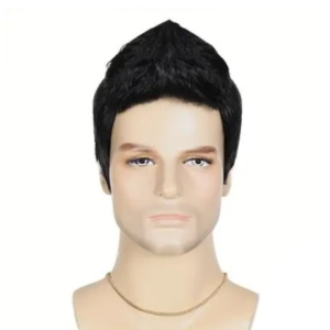 BAIXL Fluffy Fashion Mens Black Wigs Halloween Natural Synthetic Cosplay Wigs Invisible Realistic Short Layered Hair Young Men