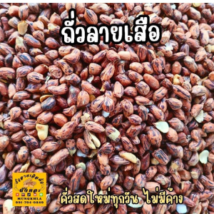 【สุขภาพดีทั้งครอบครัว】ถั่วลิสงลายเสือคั่ว เนื้อสัมผัสกรอบ หอม อร่อย คั่วสดใหม่ พร้อมทาน