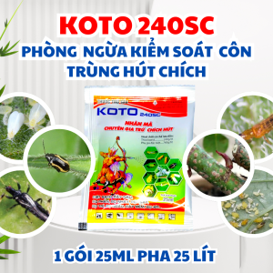 KOTO 240SC – Đặc trị bọ nhảy bọ phấn rầy phấn rầy nhảy và các loại rệp gây hại