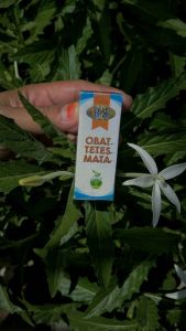 OBAT MATA AMPUH OBAT SARIAWAN OBAT SAKIT TELINGA