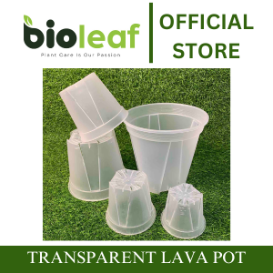 TRANSPARENT LAVA POT