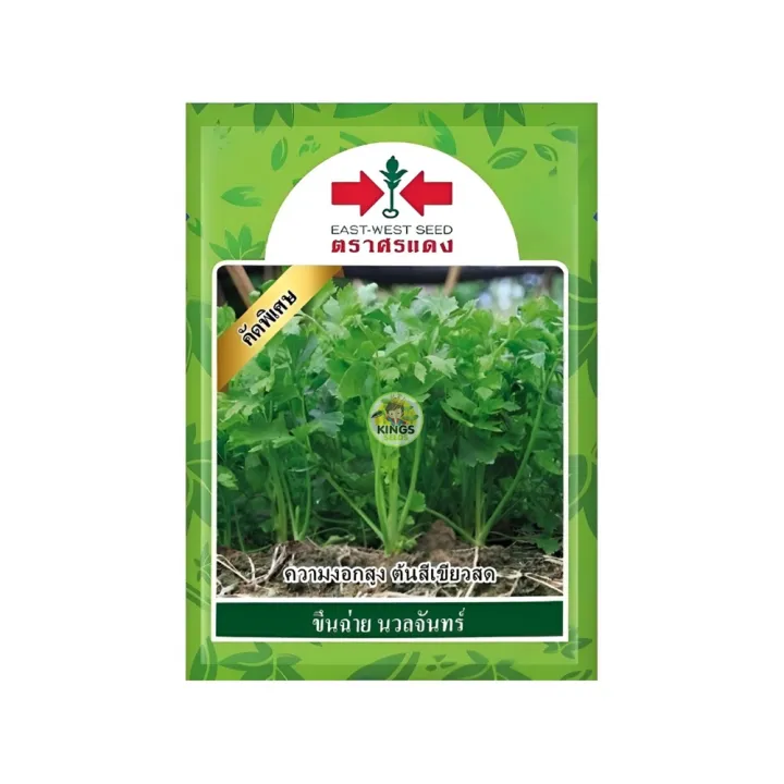 เมล็ดขึ้นฉ่าย นวลจันทร์ ศรแดง 50 กรัม บริสุทธิ์ 100%