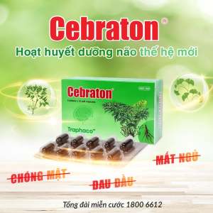 Hoạt huyết Cebraton hộp 50 viên nang - Suy giảm trí nhớ căng thẳng thần kinh kém tập trung hội chứng tiền đình