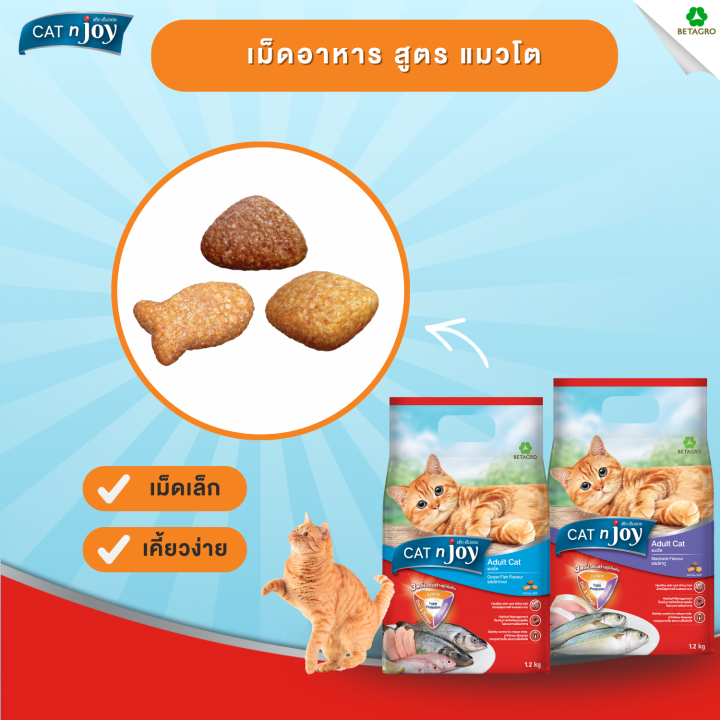 CAT%20n%20joy%20Tripple%20Protection%20%E0%B8%AA%E0%B8%B9%E0%B8%95%E0%B8%A3%E0%B9%81%E0%B8%A1%E0%B8%A7%E0%B9%82%E0%B8%95%20%20%E0%B8%A3%E0%B8%AA%E0%B8%9B%E0%B8%A5%E0%B8%B2%E0%B8%97%E0%B8%B0%E0%B9%80%E0%B8%A5%E0%B8%A3%E0%B8%A7%E0%B8%A1%201.2kg%20-%20Image%208
