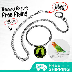 SEMPATI Rantai Kaki Burung Tali Burung Borgol 4 Mm Free Fly Ff Murai Batu Kacer Lovebird Rantai Latih Burung Umbaran Training Ring Gelang Kaki Lovebird Murai Dll RNFLY