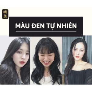 Dầu gội nhuộm tóc thảo dược phủ bạc đen tóc Komi Nhật Bản nhuộm tóc thảo dược hộp 250m ( có 5 màu)