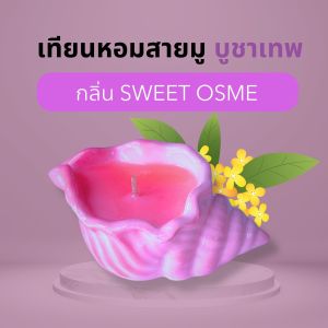 ALMONTE CONCH SHELL SWEET OSME เทียนหอมอโรม่า ไขถั่วเหลือง เทียนหอมปรับอากาศ เทียนหอมสร้างบรรยากาศ