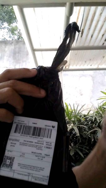 Buyer review video 6