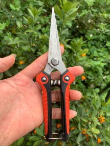 Kéo cắt cây cảnh SK5kéo cắt cành trên caocành cây khô thép cắt sắc néttay cầm thoải mái bọt biển