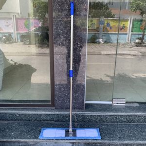 Cây lau trần nhà Cây lau tường 15m và 3m TOMAS cây lau công nghiệp