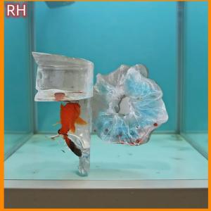 🔥🔥🔥ranghe 1ชิ้นชุดผมปลาทองสีฟ้าลำไส้ใหญ่บรรยากาศฤดูร้อนห่วงตาข่ายเส้นผมใสการออกแบบสำหรับผู้หญิงรู้สึกเครื่องประดับผมแบบยืดหยุ่น