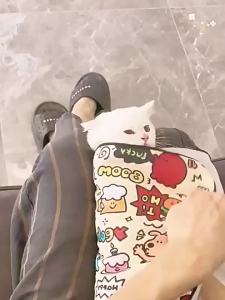 Cat Grooming Wrap Self-Adherent Swaddle Burrito Wrap Anti-Bite Anti-Scratch Anti-Escape for Medicine Nail ClippingTool