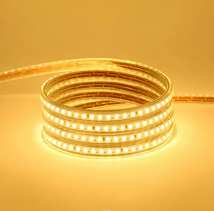 LAMPU SELANG LED STRIP SMD 5050 220V 1-30M FREE SOKET 1PCS   AC 220V