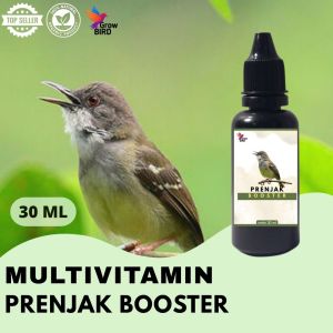 Vitamin Burung Gacor 30 ml Untuk Prenjak Vitamin Penggacor Burung Rekomendasi Burung Kicau