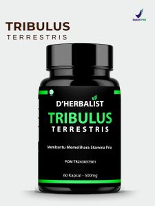 DHERBALIST Tribulus Terrestris original 500Mg BPOM
