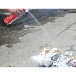 Foam Stop Fire 500/1000 ML Extinguisher Portable Spray Car Home/Pemadam Api NOTE:NOT AVAILABLE FOR SABAH AND SARAWAK