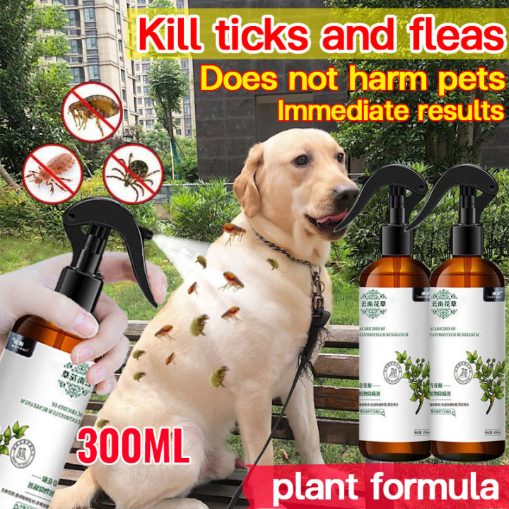 100 Effective Pet Flea and Tick Remover Spray Dog and Cat Anti