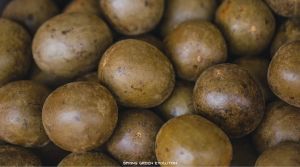 หล่อฮังก๊วย แก้ร้อนใน ดับกระหาย นำเข้าและจัดจำหน่ายเอง แพ็ค  10 ลูก