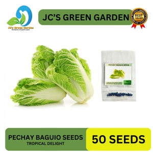 (50 SEEDS) PECHAY BAGUIO SEEDS/TROPICAL DELIGHT/CHINESE CABBAGE SEEDS