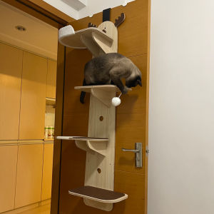 Hanging Door Cat Frame Cat Climbing Frame Cat Litter Cat Tree Solid Wood Cat Jumping Platform Free Punching Wall Type