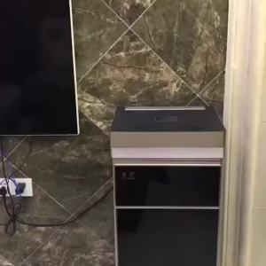 German Water Dispenser Tea hine Home Standing Lower Bucket Hot and Cold Large Multi-Functional Office Water Fountain