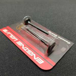 KLEP SET PAYUNG VALVE SET IN EX motor YAMAHA MIO GOLDEN MAKO