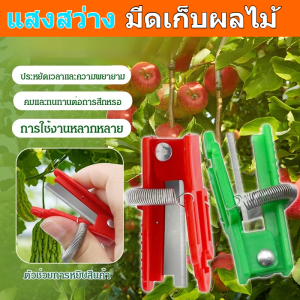 🔥ประหยัดเวลาและความพยายาม🔥มีดเก็บผลไม้และผักขนาดเล็ก/มีดเก็บถั่วและแตงโมอเนกประสงค์/การใช้งานต่างๆ กรรไกรตัดองุ่น/แบบพกพาและสะดวก มีดหยิบผักและผลไม้