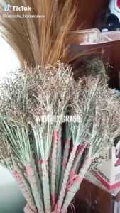 Widerly Grass | Bunga Kering | Dried Flower Rustic