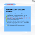 TERBARU !! Vitamin Penggemuk Badan BPOM Athallah Herbal | Menambah Nafus Makan Tanpa Efek Samping isi 60 Kapsul. 