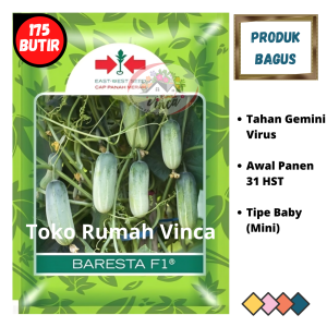 Benih Bibit Timun Lalap Baby 007 F1 175 biji dari Cap Panah Merah