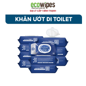 KHO BÌNH THẠNH_Thùng 10 Gói Khăn ướt vệ sinh Flushable Wipes gói 60 khăn tự tan trong bồn cầu