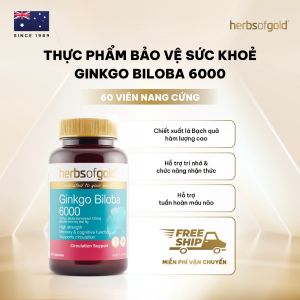 Viên Uống Bạch Quả Herbs of Gold Ginkgo Biloba 6000mg - Hỗ Trợ Tuần Hoàn Máu & Tăng Tập Trung - Hộp 60 Viên