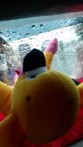 BONEKA MATSUPILAMI HIASAN TEMPEL KACA DASHBOARD MOBIL LEMARI ES PINTU MAINAN KARAKTER DEKORASI
