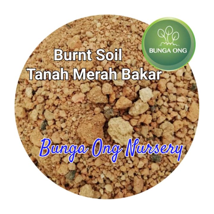 Tanah Merah Bakar Organik/ Red Burnt Soil Organik/( 火烧泥 ) | Lazada