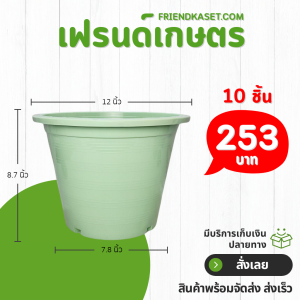 กระถาง กระถางต้นไม้ กระถางพลาสติก เบอร์ 12 นิ้ว สีเขียวพาสเทล 10 ใบ ชิ้น อัน