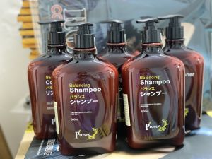 Dầu gội xả ngăn gãy rụng da đầu dầu Prosee Balancing 500ml