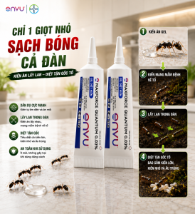 [Combo 2 Sản Phẩm] Gel Diệt Kiến Maxforce Quantum Chính Hãng 12g/tuýp
