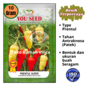 Benih Cabe Rawit Setan PRENTUL SUPER 10g setara 2250 butir You seed