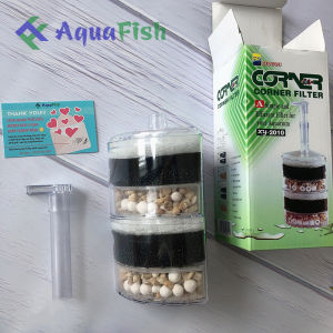 Lọc Vi Sinh XY 2010 Cho Bể Cá Cảnh Trong Nhà