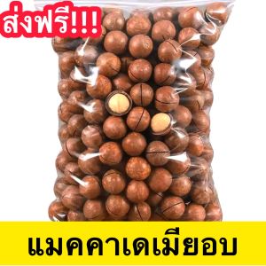 [1 กิโล] [อบเนย] แมคคาเดเมีย เเมคคา เเมคคาเดเมียอบเนย อบเนีย1กิโลกรัม Macadamia Nut *** แถมที่เปิดทุกถุง *** หอมกลิ่นเนยอ่อนๆ  แมคคาเดเมีย Macadamia แมคคาเดเมีย แม็คคาเดเมียอบ แมคคาเดเมียอบ แมคคาเดเมียอบธรรมชาติ ถั่วแมคคาเดเมีย ถั่ว ถั่วแม็คคาเดเมีย ราชา