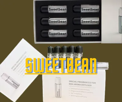 Exquisite Essence Hotel Scents Compact Car Diffusers perfume essential oil air freshener