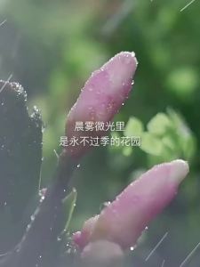 💦官方正品💦OHBT 美白身体乳 留香 保湿 滋润 补水 烟酰胺 去鸡皮 润肤 OHBT Whitening Body Lotion Long-lasting Fragrance Moisturizing Nourishing Hydrating Niacinamide Keratosis Pilaris Treatment Body Lotion