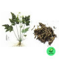 Hoàng liên khô [0.5kg] - DV081. 