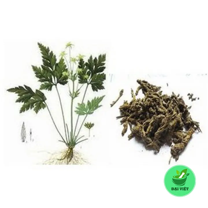Ho%C3%A0ng%20li%C3%AAn%20kh%C3%B4%20%5B0.5kg%5D%20-%20DV081%20-%20Image%202