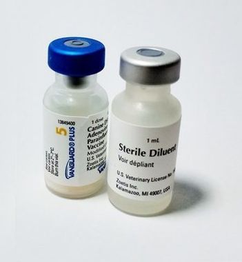 [10 Liều] Vaccine 5 Bệnh Cho Chó VANGUARD PLUS 5 ZOETIS (Tặng Kim + Sổ ...