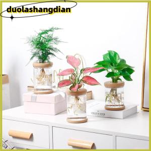 [Duola] ขี้เกียจโปร่งใสกระถาง hydroponic ดูดซึมน้ำอัตโนมัติ